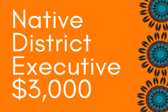 Native District Executive