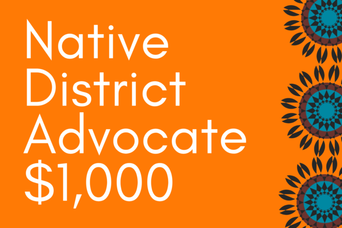 Native District Advocate